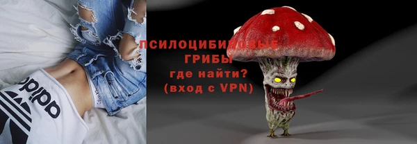 прущие грибы Алексин