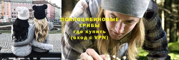 стафф Алексеевка