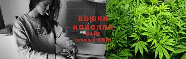 стаф Горно-Алтайск